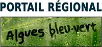 Portail des Algues Bleu-Vert