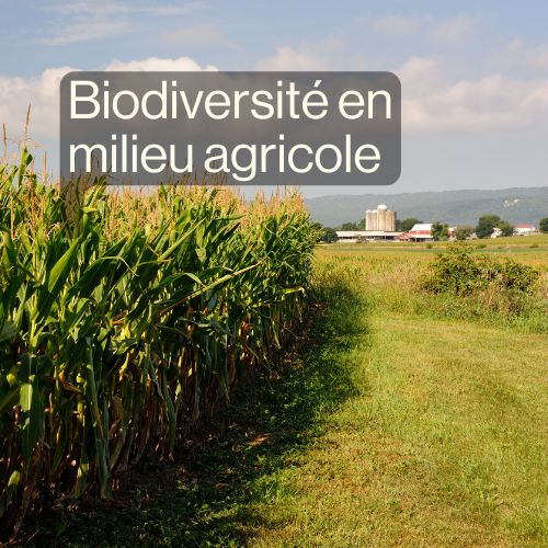 Biodiversité en milieu agricole