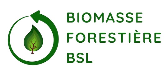 Biomasse forestière résiduelle
