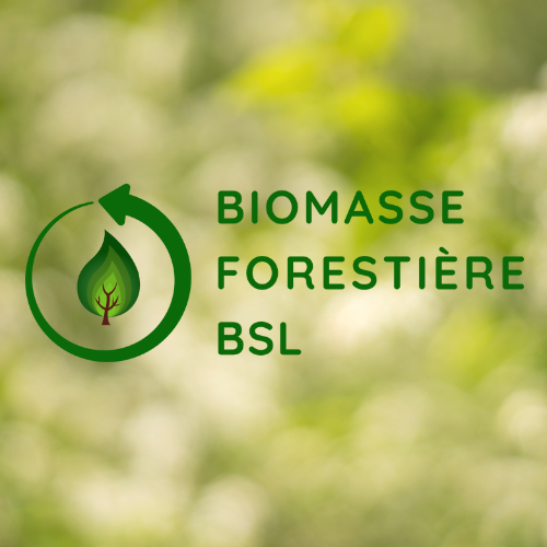 Biomasse forestière résiduelle