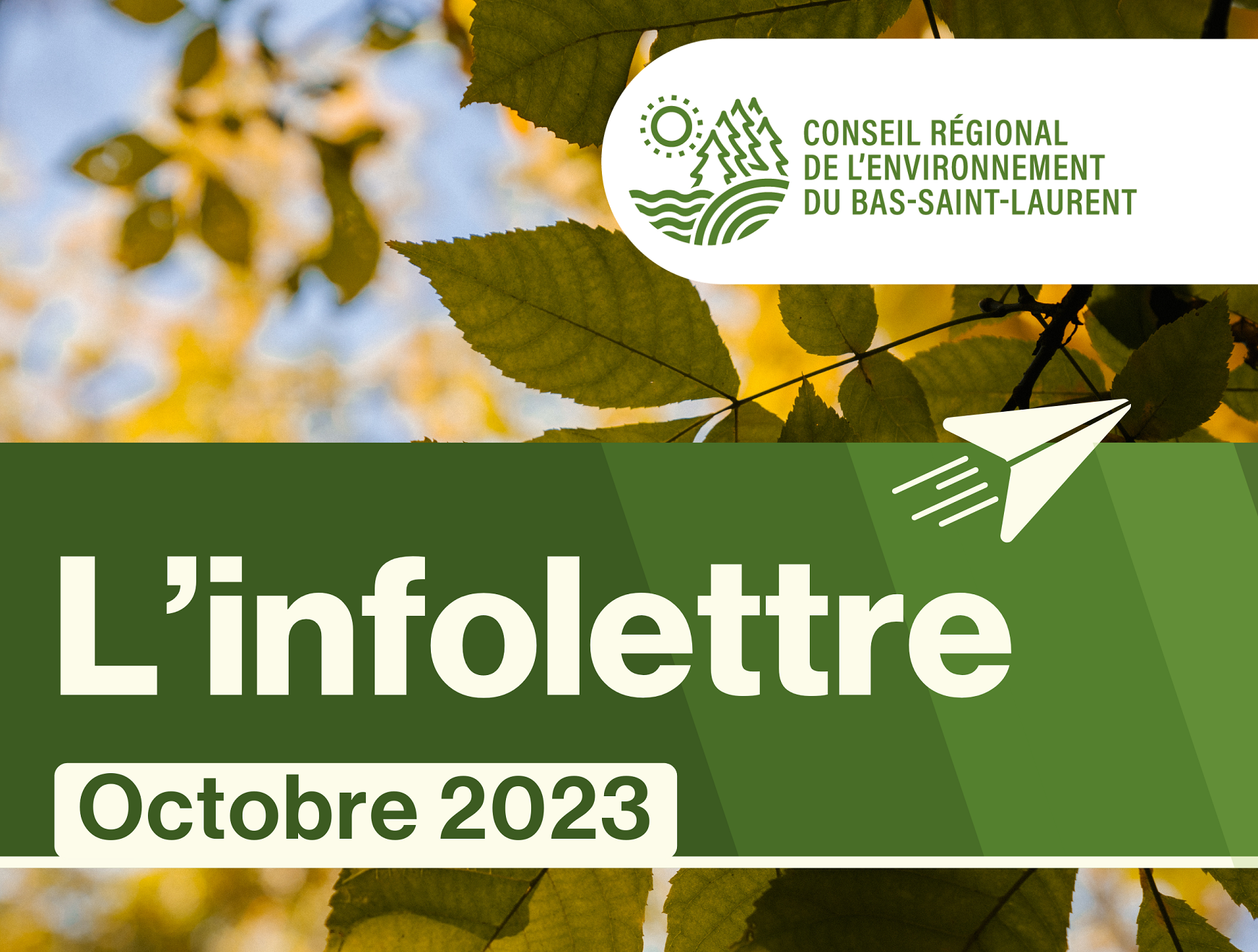 Infolettre d’octobre du Conseil régional de l’environnement du Bas-Saint-Laurent