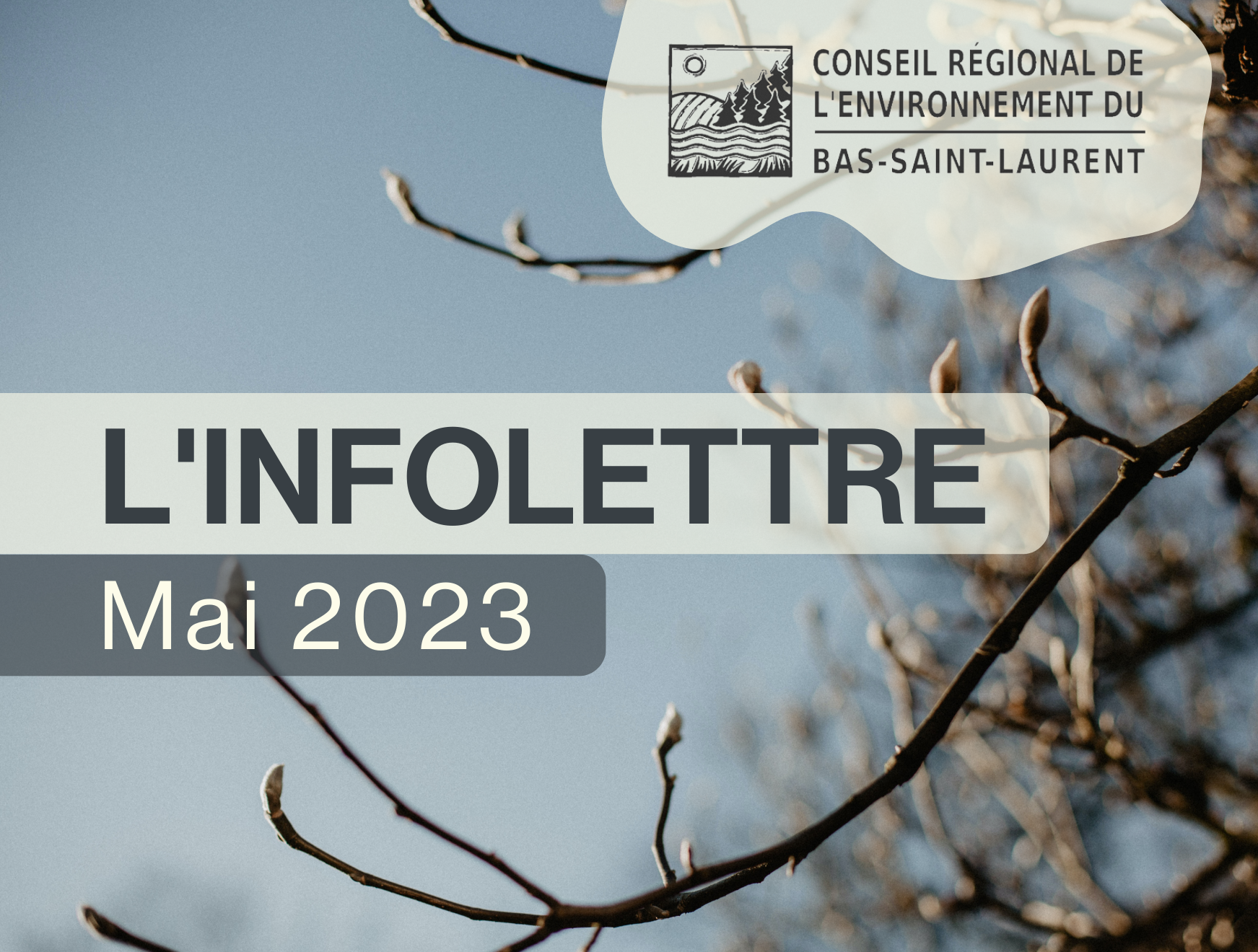 Infolettre de mai du Conseil régional de l’environnement du Bas-Saint-Laurent