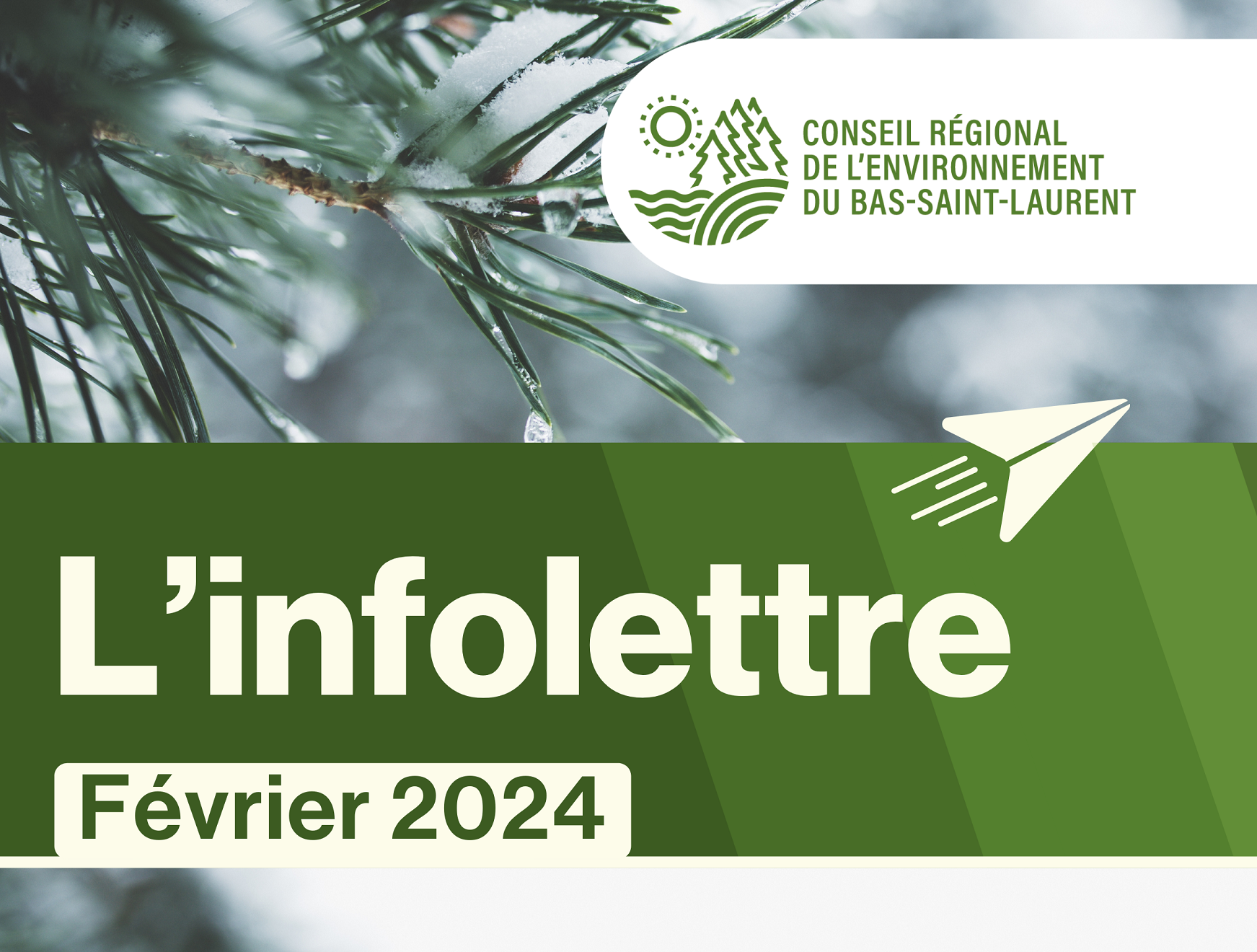 Infolettre de février du Conseil régional de l’environnement du Bas-Saint-Laurent