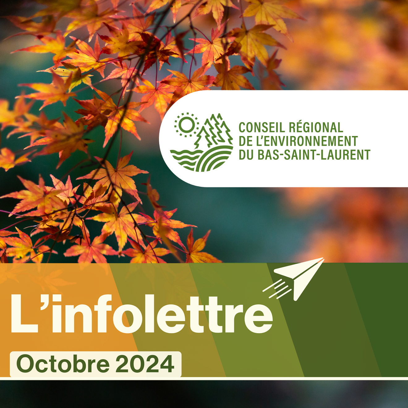 Infolettre d’octobre du Conseil régional de l’environnement du Bas-Saint-Laurent