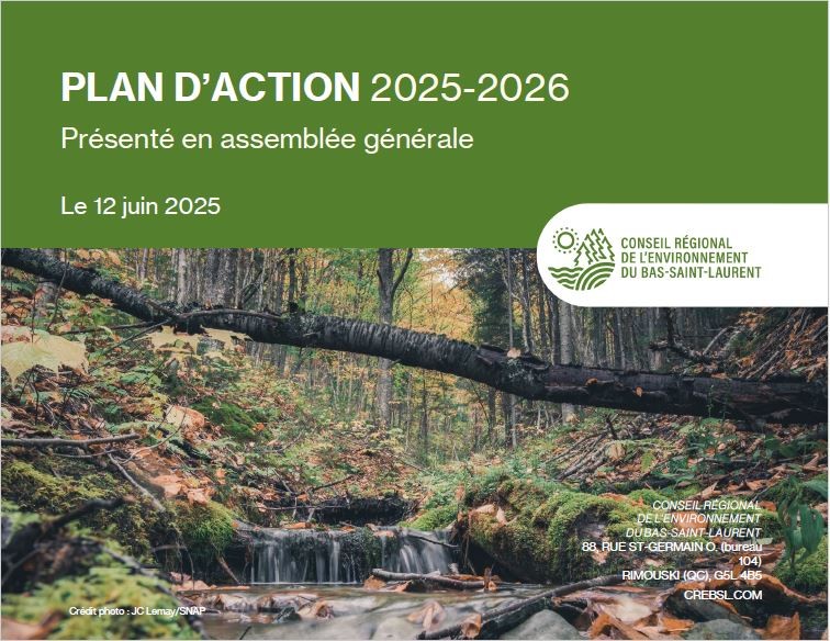 Plan d’action du CRE du Bas-Saint-Laurent 2025-2026