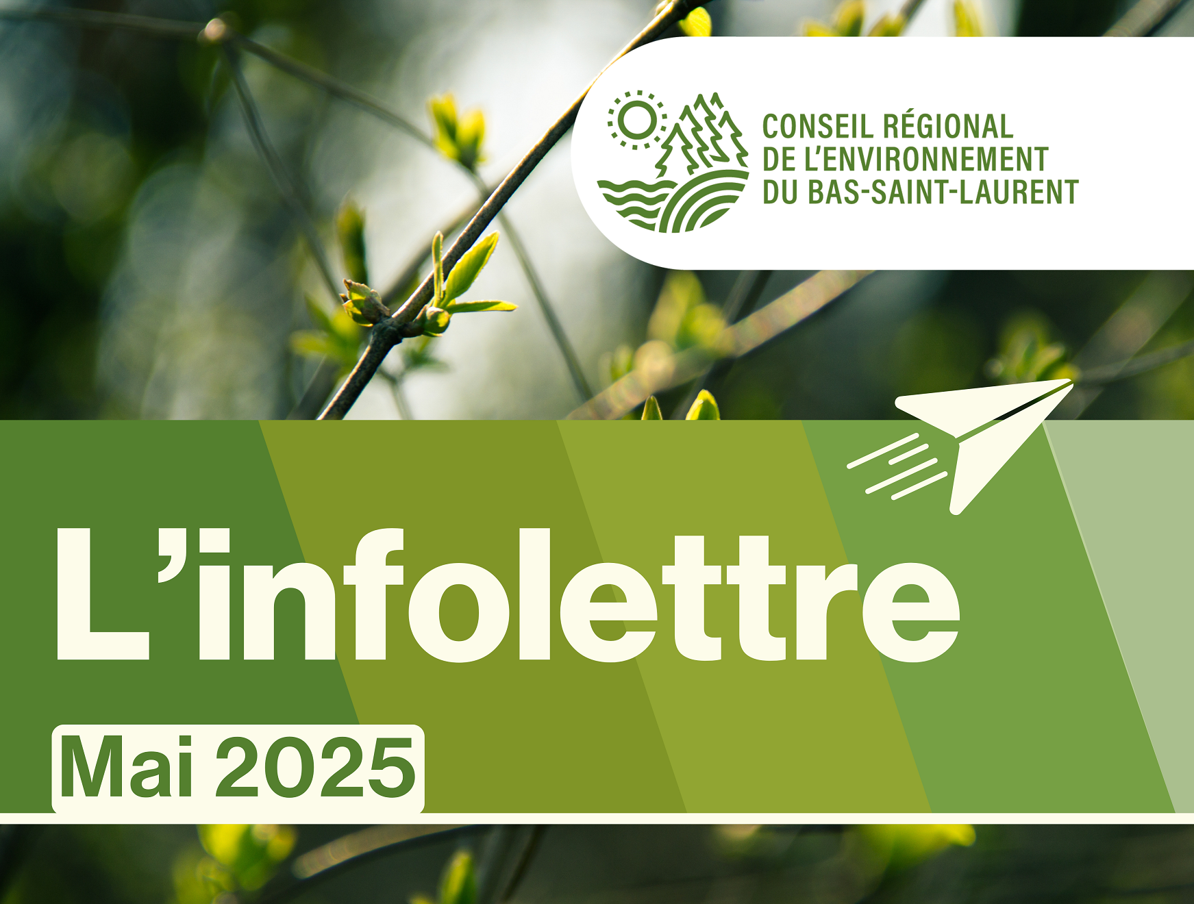 Infolettre de mai du Conseil régional de l’environnement du Bas-Saint-Laurent