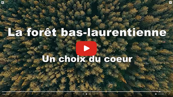 Vidéo La forêt bas-laurentienne - court métrage (YouTube)