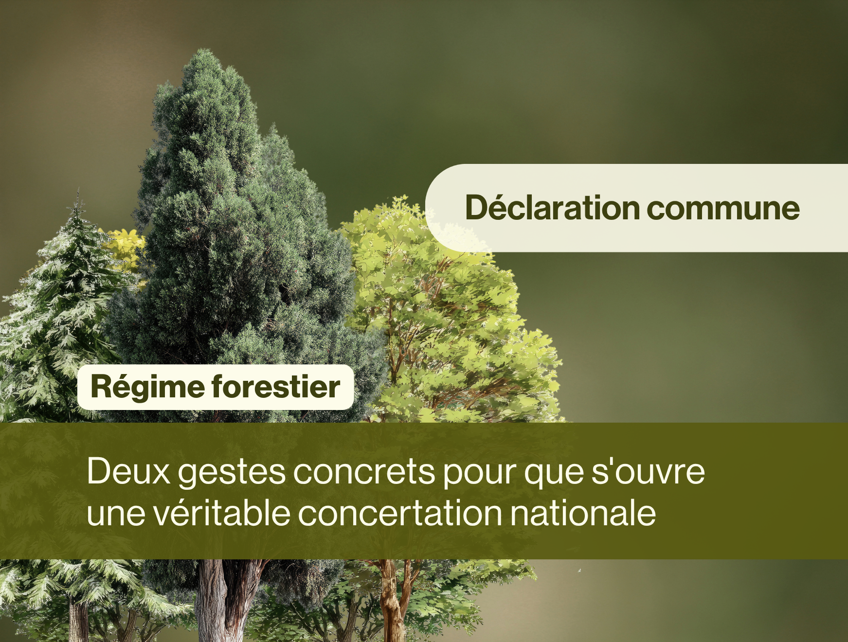 L’avenir des forêts du Québec doit se décider à plusieurs voix