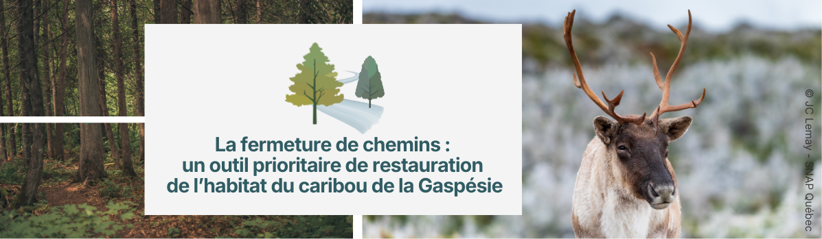 Entete_texteSiteWeb_visuel_CREBSL