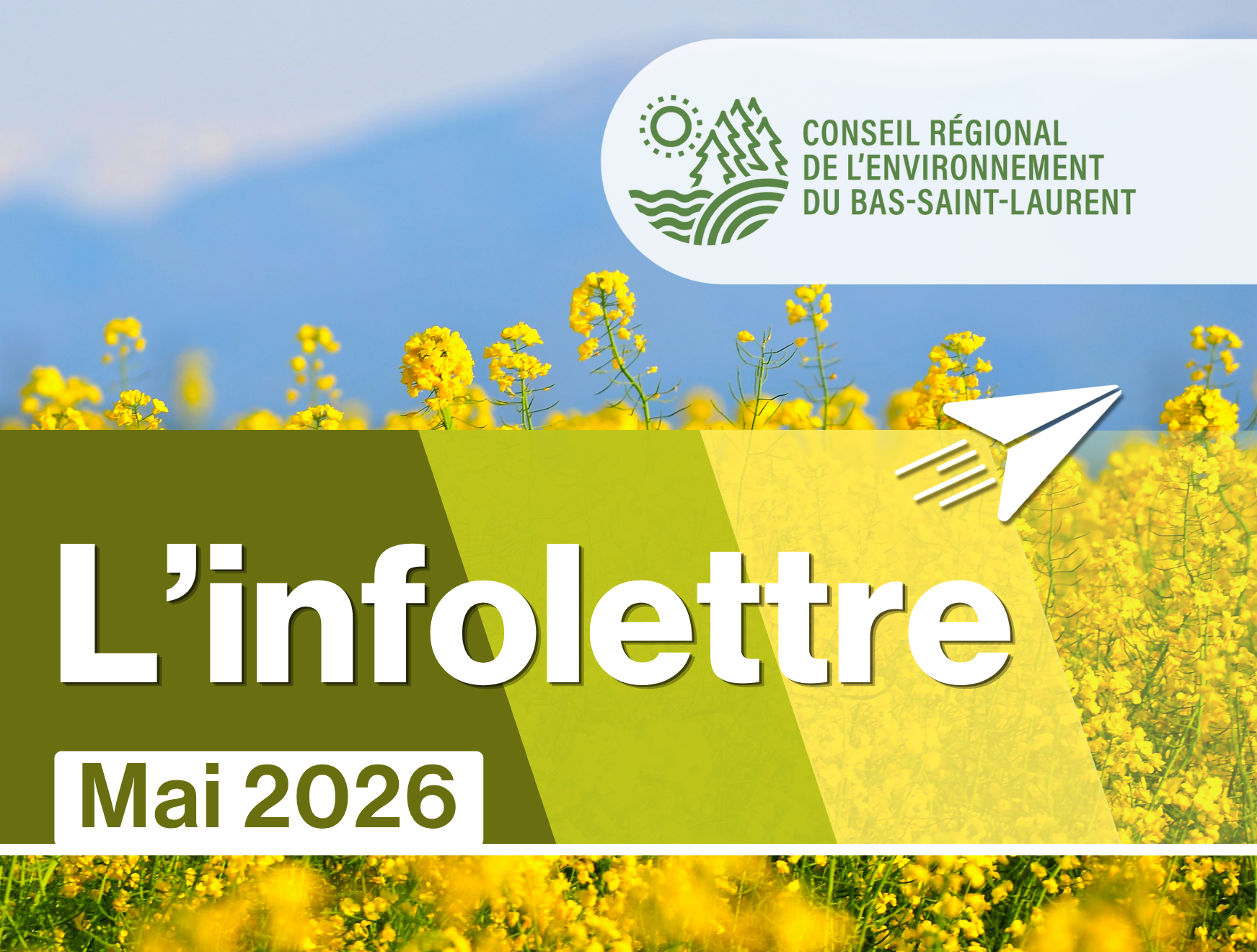 L’infolettre de mai maintenant disponible!