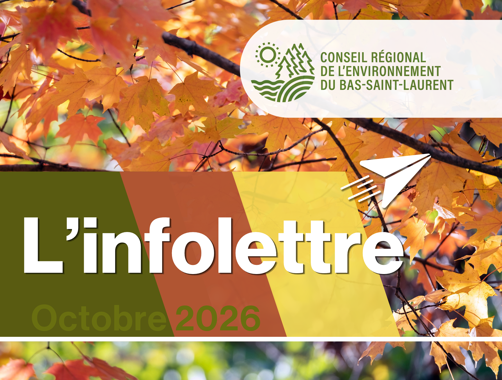 L’infolettre d’octobre maintenant disponible!