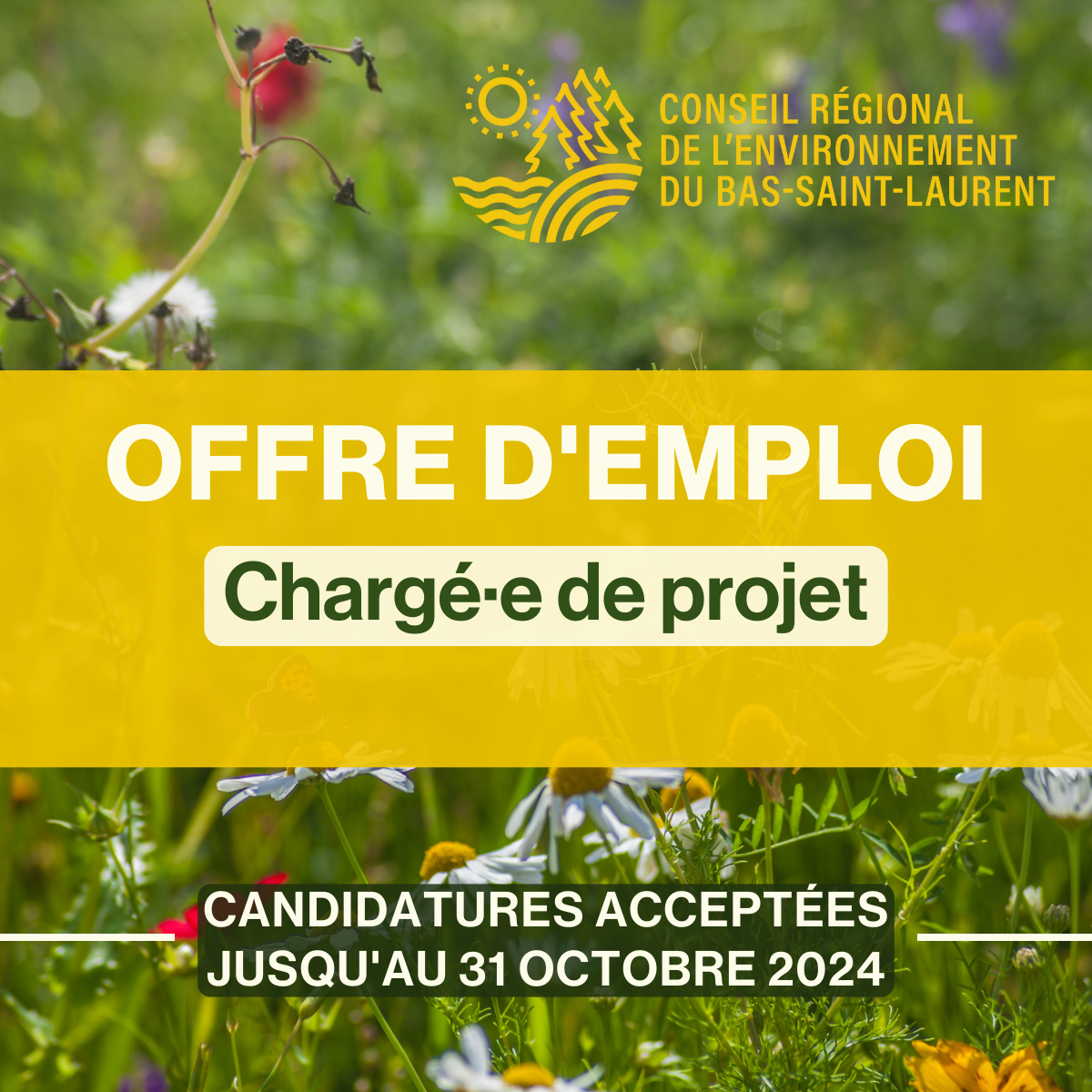 Offre d’emploi | Chargé·e de projet 