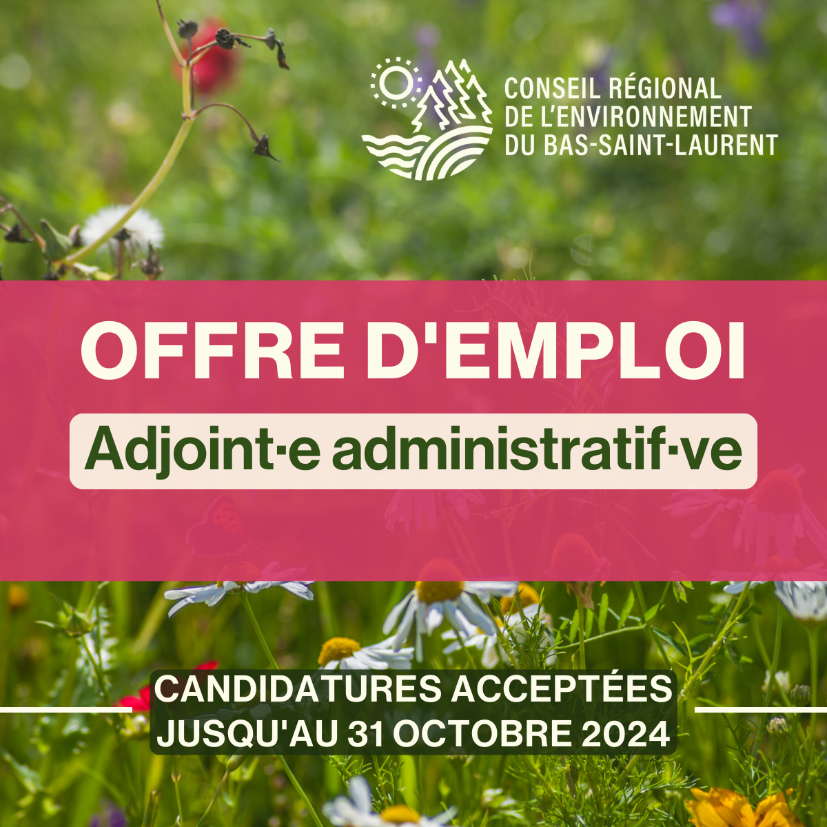 Offre d’emploi | Adjoint·e administratif·ve